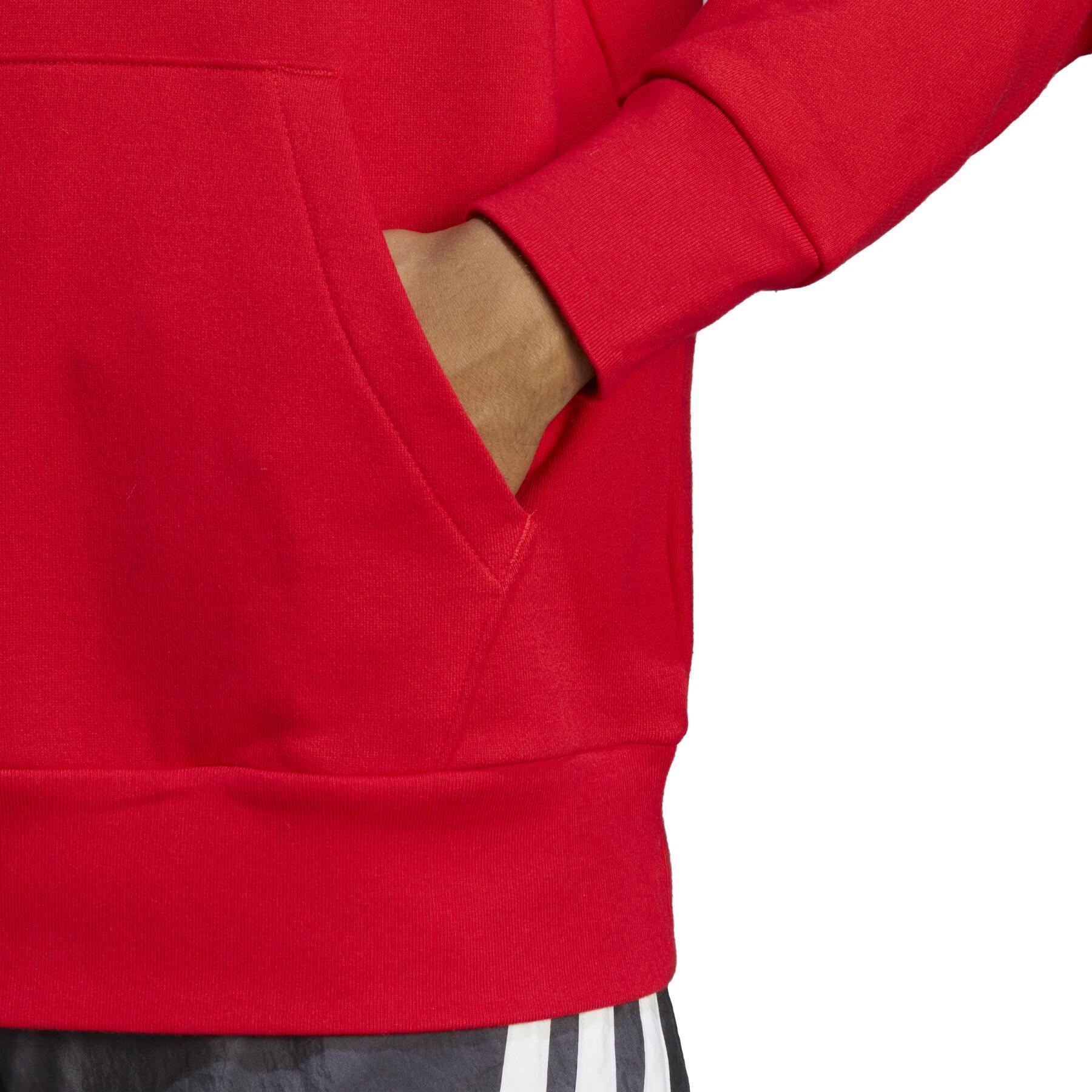 Sweatshirt à capuche adidas Essentials French Terry Big Logo
