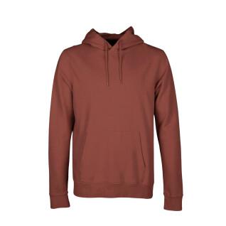 Sweatshirt à capuche Colorful Standard Classic Organic Cinnamon Brown