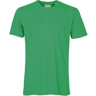 T-shirt Colorful Standard Classic Organic kelly green