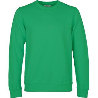 Sweatshirt col rond Colorful Standard Classic Organic kelly green