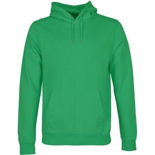 Sweatshirt à capuche Colorful Standard Classic Organic kelly green