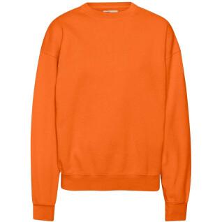 Sweatshirt col rond Colorful Standard Organic oversized burned orange