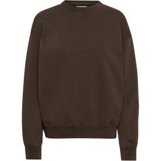 Sweatshirt col rond Colorful Standard Organic oversized coffee brown