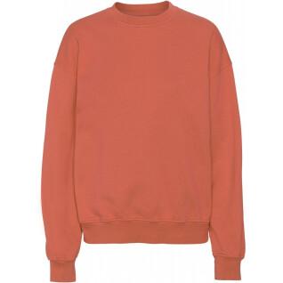 Sweatshirt col rond Colorful Standard Organic oversized dark amber