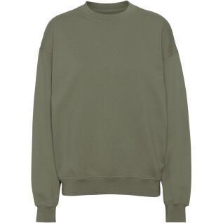 Sweatshirt col rond Colorful Standard Organic oversized dusty olive