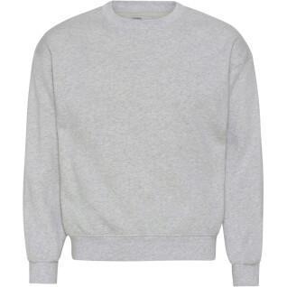 Sweatshirt col rond Colorful Standard Organic oversized heather grey