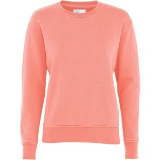 Pull col rond femme Colorful Standard Classic Organic bright coral