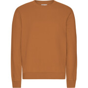 Pull Colorful Standard Classic Organic Ginger Brown