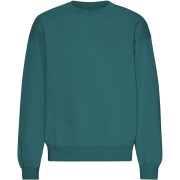 Sweatshirt col rond oversize Colorful Standard Organic Ocean Green