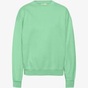 Sweatshirt col rond Colorful Standard Organic oversized faded mint