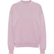 Sweatshirt col rond Colorful Standard Organic oversized faded pink
