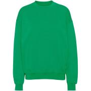 Sweatshirt col rond Colorful Standard Organic oversized kelly green
