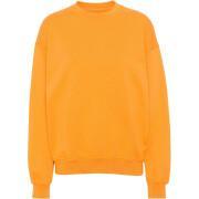 Sweatshirt col rond Colorful Standard Organic oversized sunny orange