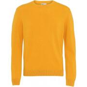 Pull col rond en laine Colorful Standard Classic Merino burned yellow